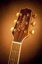 Takamine GN71CE-NAT