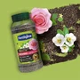 Fertiligene Engrais longue durée premium rosiers arbustes à fleurs 666 g