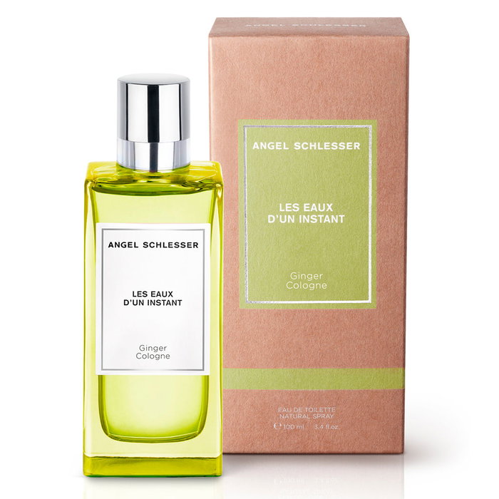 Angel Schlesser Eau de Toilette Ginger Cologne Homme 100 ml