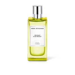 Angel Schlesser Eau de Toilette Ginger Cologne Homme 100 ml