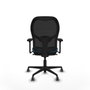 Piqueras y Crespo Chaise de Bureau Jorquera 3D036G0 Noir Vert pétrole
