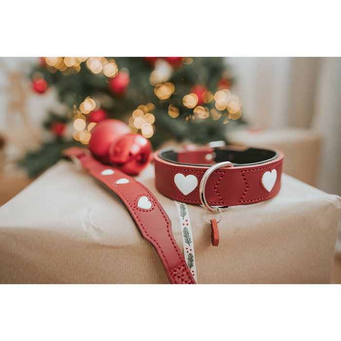 Collier pour Chien Hunter Love S/M 35-40 cm Rojo/Blanco Collier pour Chien Hunter Love S/M 35-40 cm Rojo/Blanco
