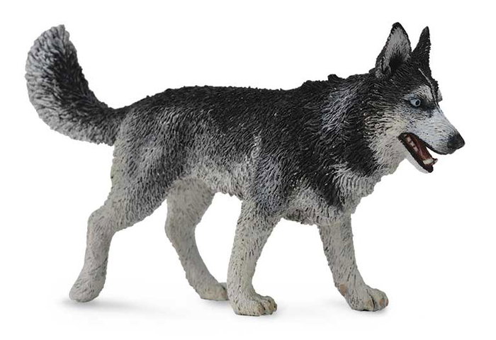 Collecta Figurine Husky Siberiano -L- 88707 Replique Realiste à Échelle Peinte à la Main Matériaux de Haute Qualité Collecta Figurine Husky Siberiano -L- 88707 Replique Realiste à Échelle Peinte à la Main Matériaux de Haute Qualité