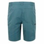 Short de Sport Regatta LeesvilleShrtIII Montagne 50
