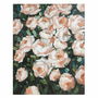 Cadre Huile Roses Bois de pin