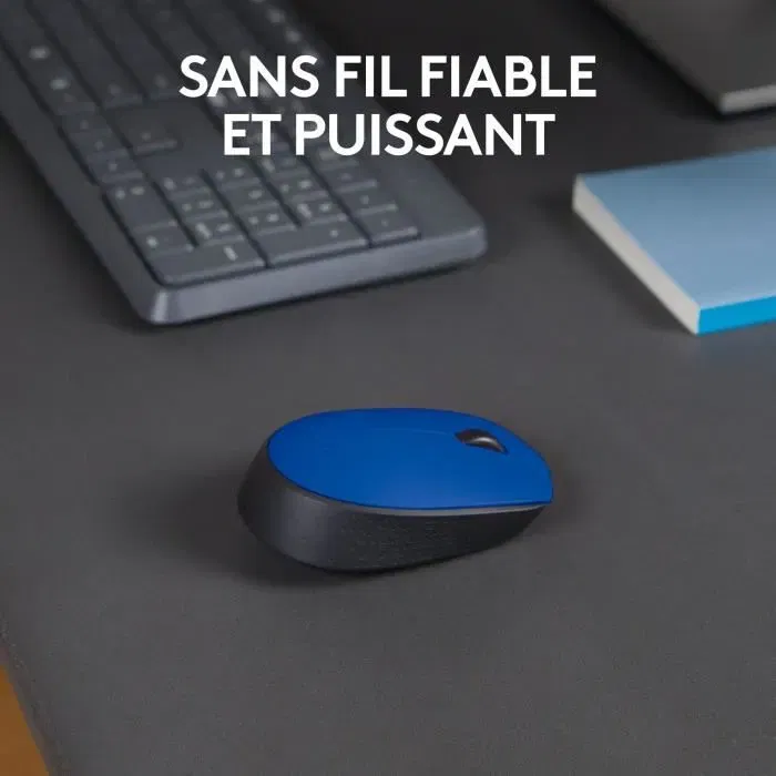 Logitech M171 Souris Sans Fil Bleue Ambidextre - Connexion 2,4 GHz, 12 Mois Autonomie, Compatible Windows/Mac/Chrome