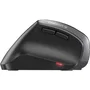 Cherry Souris sans fil ergonomique MW 4500 Noir