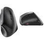 Cherry Souris sans fil ergonomique MW 4500 Noir