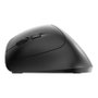 Cherry Mouse MW 4500 JW-4500 (JW4500) Souris Optique Filaire USB