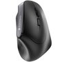 Cherry MW 4500 Souris Ergonomique Sans Fil, 6 Boutons, 1200 DPI, Nanorécepteur