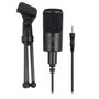 Ewent EW3552 Microphone Multimédia avec Réduction de Bruit, Connexion 3,5 mm, Idéal pour Visioconférence