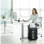 Fellowes AutoMax 100M Destructrice de documents automatique 100 feuilles Mini-Coupe 23L Noir