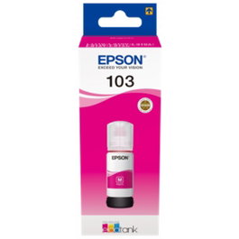 Cartouche d'Encre Compatible Epson C13T00S 70 ml