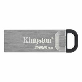 Clé USB Kingston Noir 256 GB