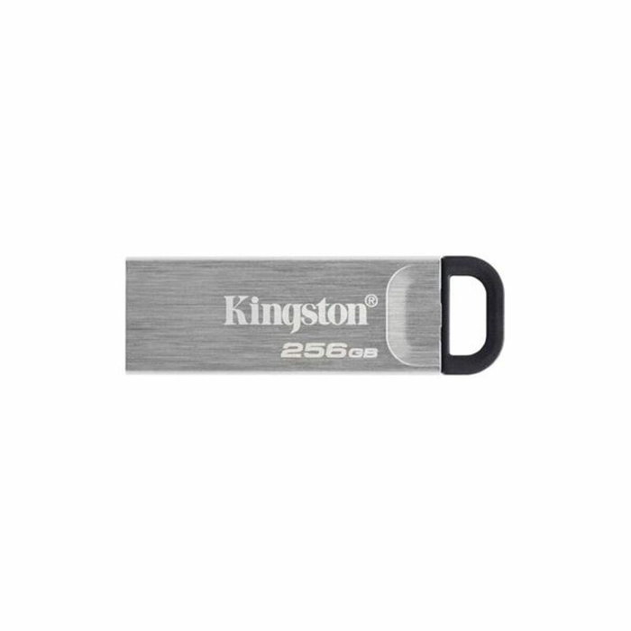 Kingston DataTraveler Kyson 256 Go Argent