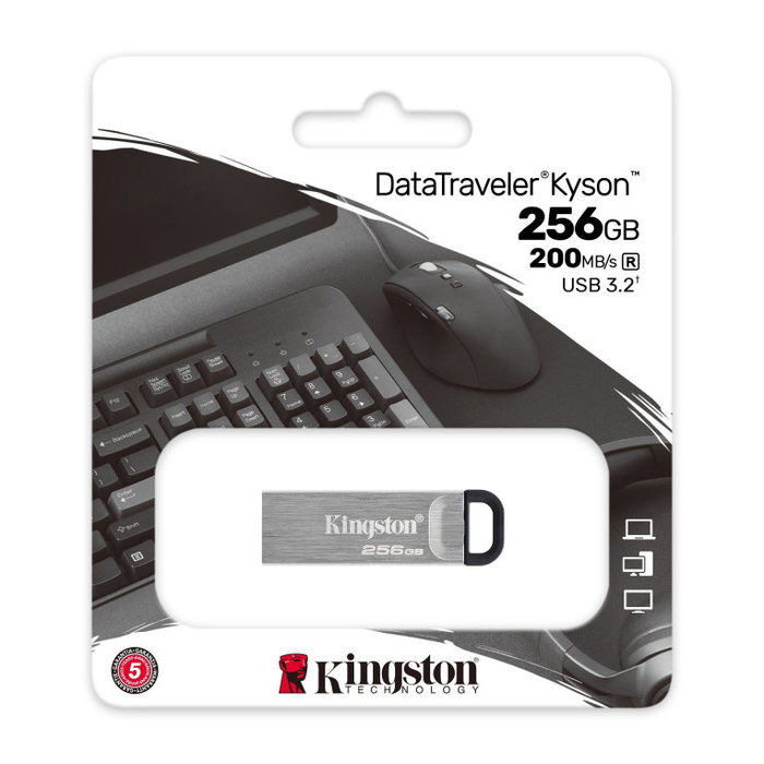 Kingston DataTraveler Kyson 256 Go Argent