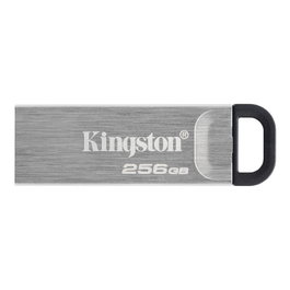 Kingston DataTraveler Kyson 256 Go Clé USB 3.2 Gen 1 Argent