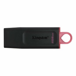 Kingston DataTraveler Exodia 256 GB