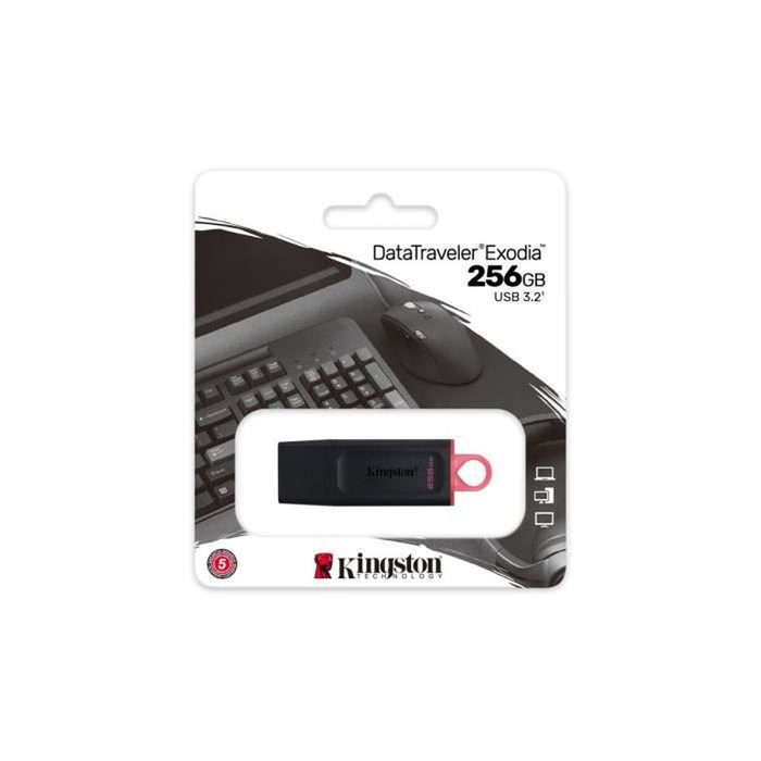 Kingston DataTraveler Exodia 256 GB