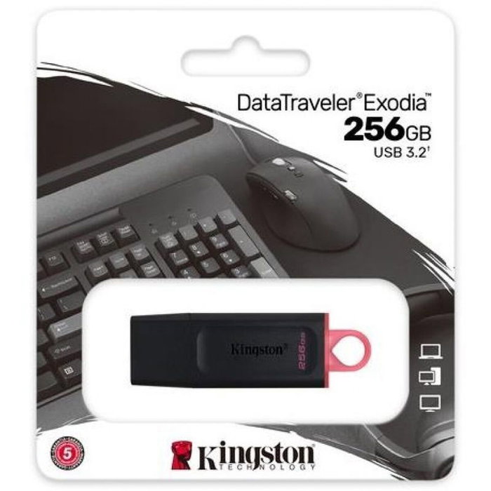 Kingston DataTraveler Exodia 256 GB