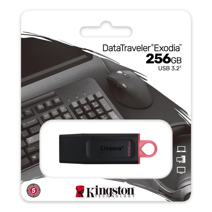 Kingston DataTraveler Exodia 256 GB