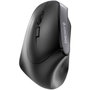 Cherry MW 4500 Left Souris Sans Fil Ergonomic pour Gaucher USB