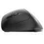 Cherry MW 4500 LEFT Souris Ergonomique Gaucher Noir