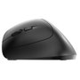 Cherry MW 4500 LEFT Souris Ergonomique Gaucher Noir