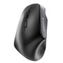 Cherry MW 4500 LEFT Souris Ergonomique Gaucher Noir