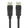 Ewent Câble DisplayPort 1.2 Noir 2m 4K 60Hz