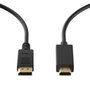 Ewent Câble DisplayPort 1.2 vers HDMI EC1430, 3m, Noir
