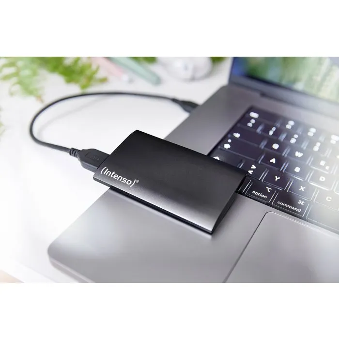 Intenso Premium Edition SSD Externe 1 To Gris