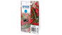 Epson Cartouche d'encre 503 Cyan