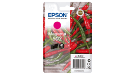 Epson C13T09Q34010 - Cartouche d'encre 503 - Magenta
