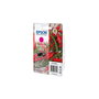 Epson C13T09Q34010 - Cartouche d'encre 503 Magenta