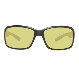 Lunettes de soleil Homme Polaroid 217530 Bifocal (+1,5)