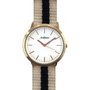 Arabians DPP2197B