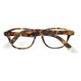 Monture de Lunettes Homme Gant GR5006-MTO-49 Marron Ø 49 mm