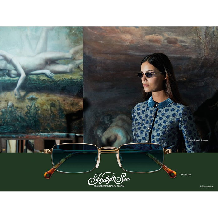 Lunettes de soleil Unisexe Hally & Son HS004S02