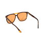 Lunettes de soleil Homme Web Eyewear WE0263-5956J ø 59 mm