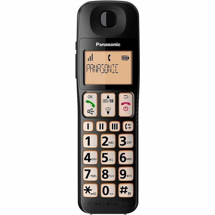 Téléphone Sans Fil Panasonic KX-TGE310SPB Noir Ambre
