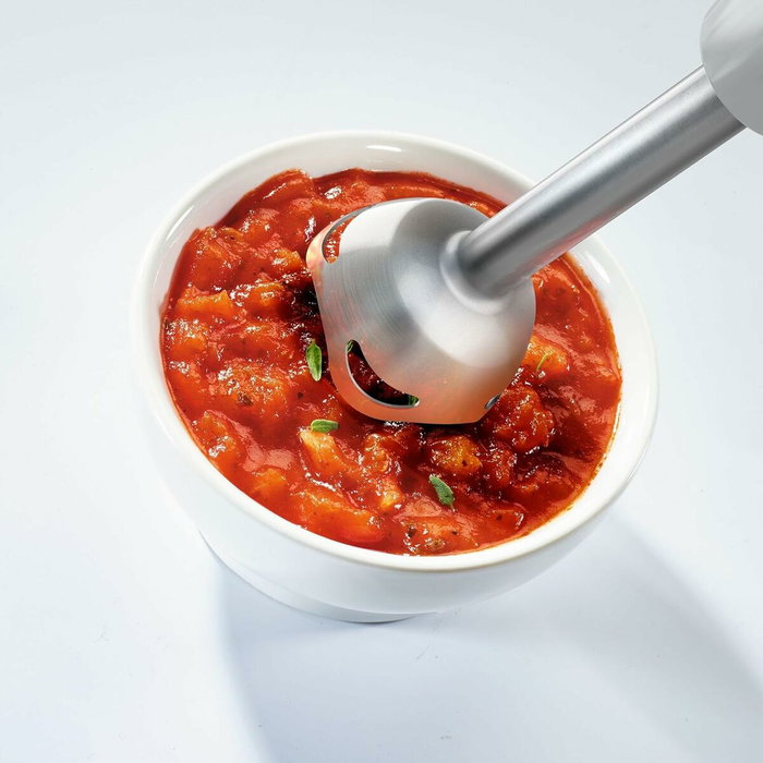 Mixeur plongeant Moulinex DD65AD10 Mixeur plongeant Moulinex DD65AD10