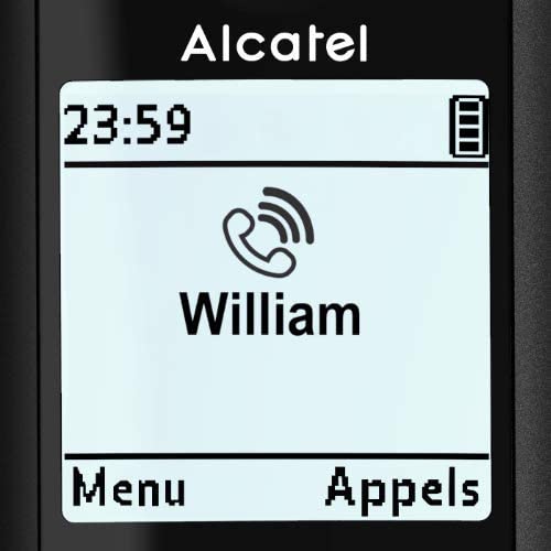 Téléphone Sans Fil Alcatel F890 Voice DECT
