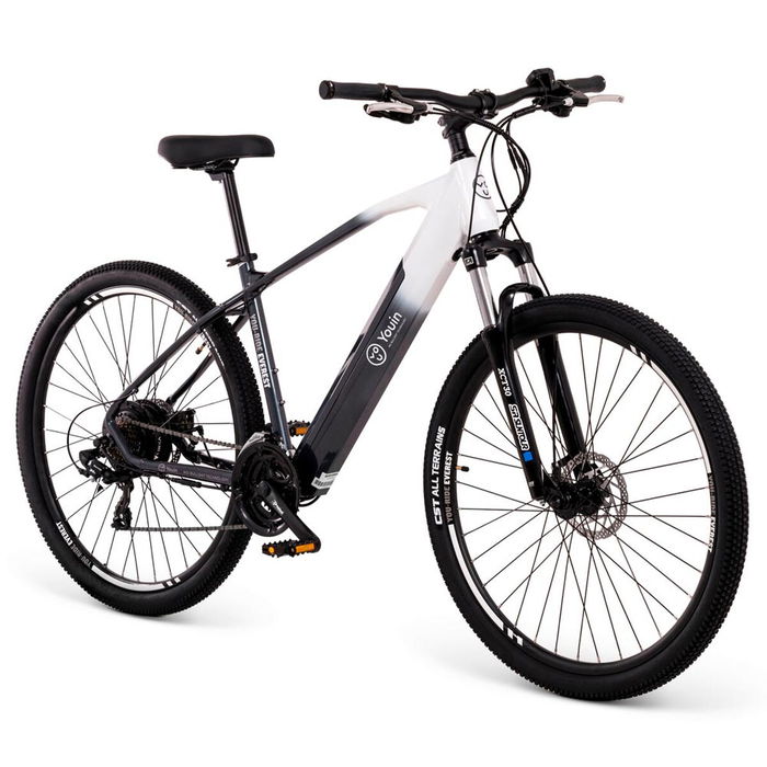 Vélo Électrique Youin BK3000 EVEREST 250 W 29" Noir
