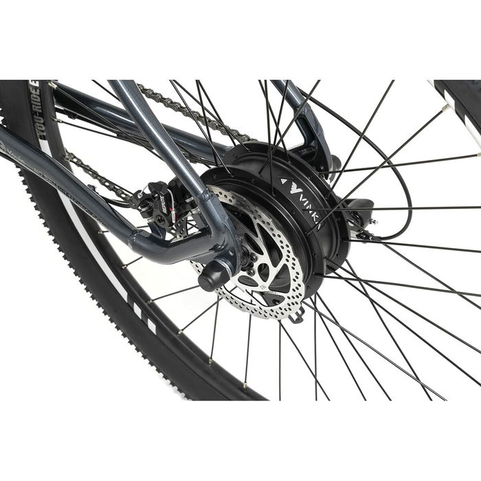 Vélo Électrique Youin BK3000 EVEREST 250 W 29" Noir