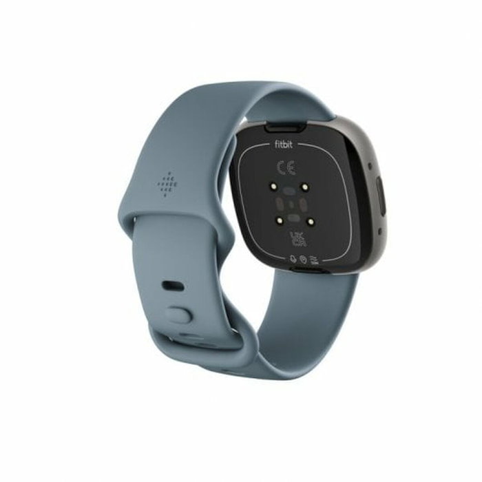 Fitbit FB523SRAG Bleu Fitbit FB523SRAG Bleu