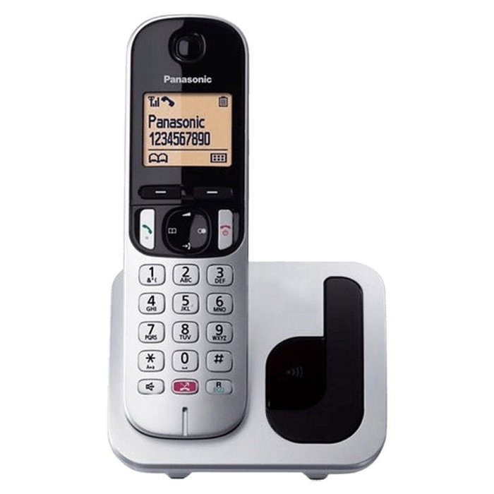 Téléphone Sans Fil Panasonic KX-TGC250SPS Gris