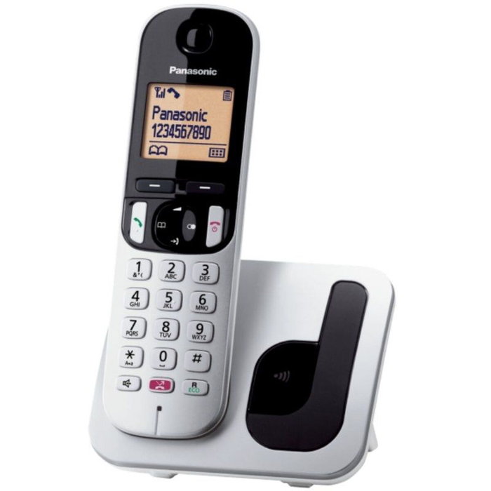 Téléphone Sans Fil Panasonic KX-TGC250SPS Gris