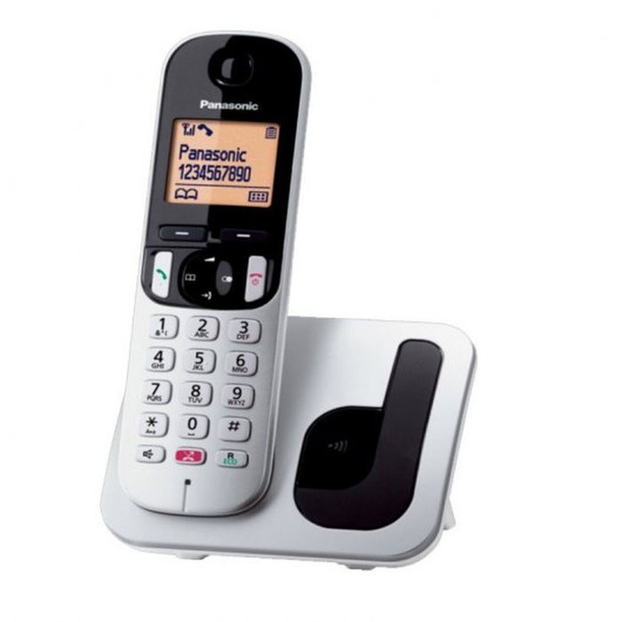 Téléphone Sans Fil Panasonic KX-TGC250SPS Gris