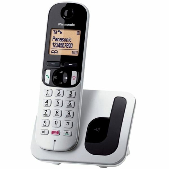 Téléphone Sans Fil Panasonic KX-TGC250SPS Gris